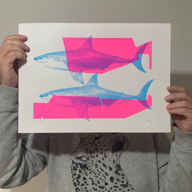 Shark Screen Print - Shark Tank (Pink and Blue) - Main Image