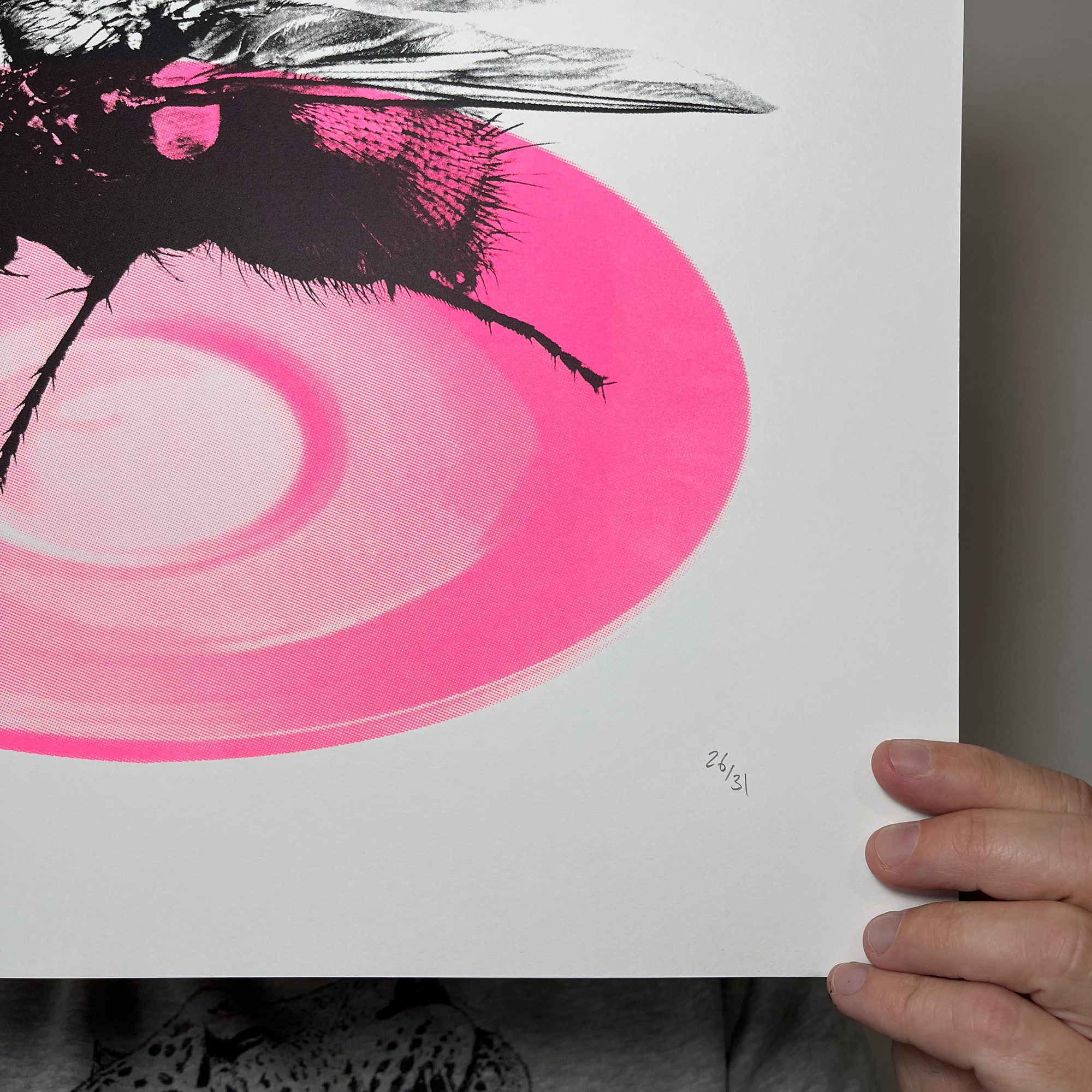 Fly In Saucer - Screen Printed Poster - Hand numbered