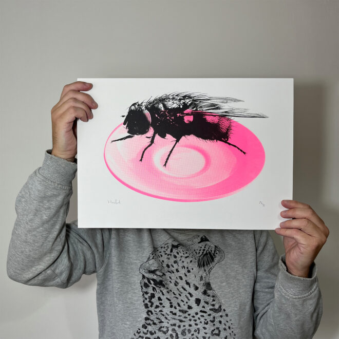 Fly In Saucer - Screen Printed Poster - Main Image