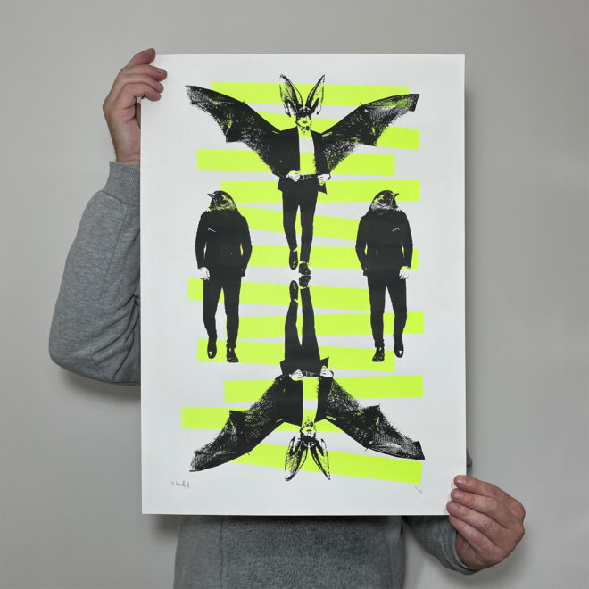 Bats and Robins (Large Green) - Screen Printed Poster - main image