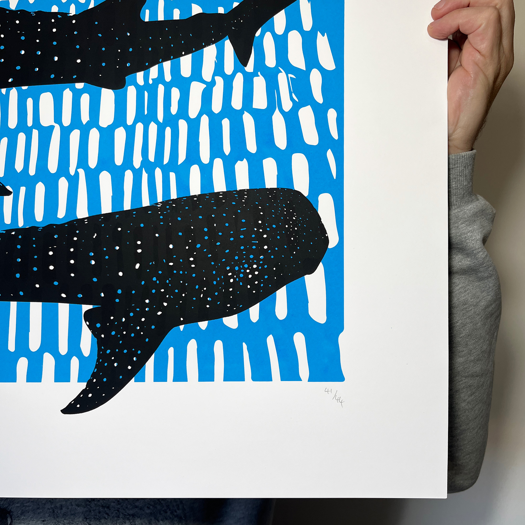 Whale Sharks - Screen Printed Poster - Black and Blue - hand numbered. Limited edition of 44