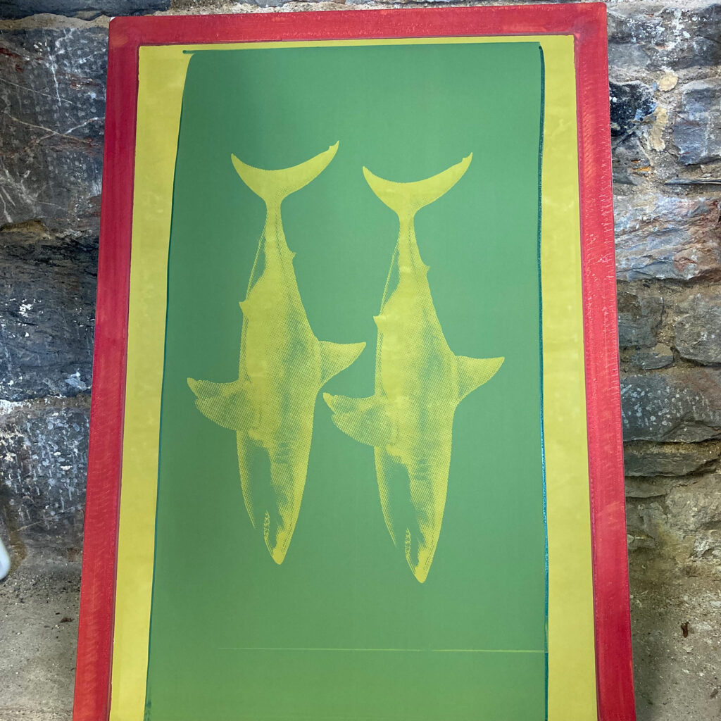 Shark Tank Orange and Blue - Screen Print - process shot of exposed screen