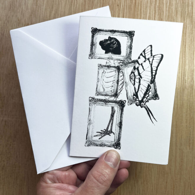 Fly My Pretties - Screen Printed Greetings Card