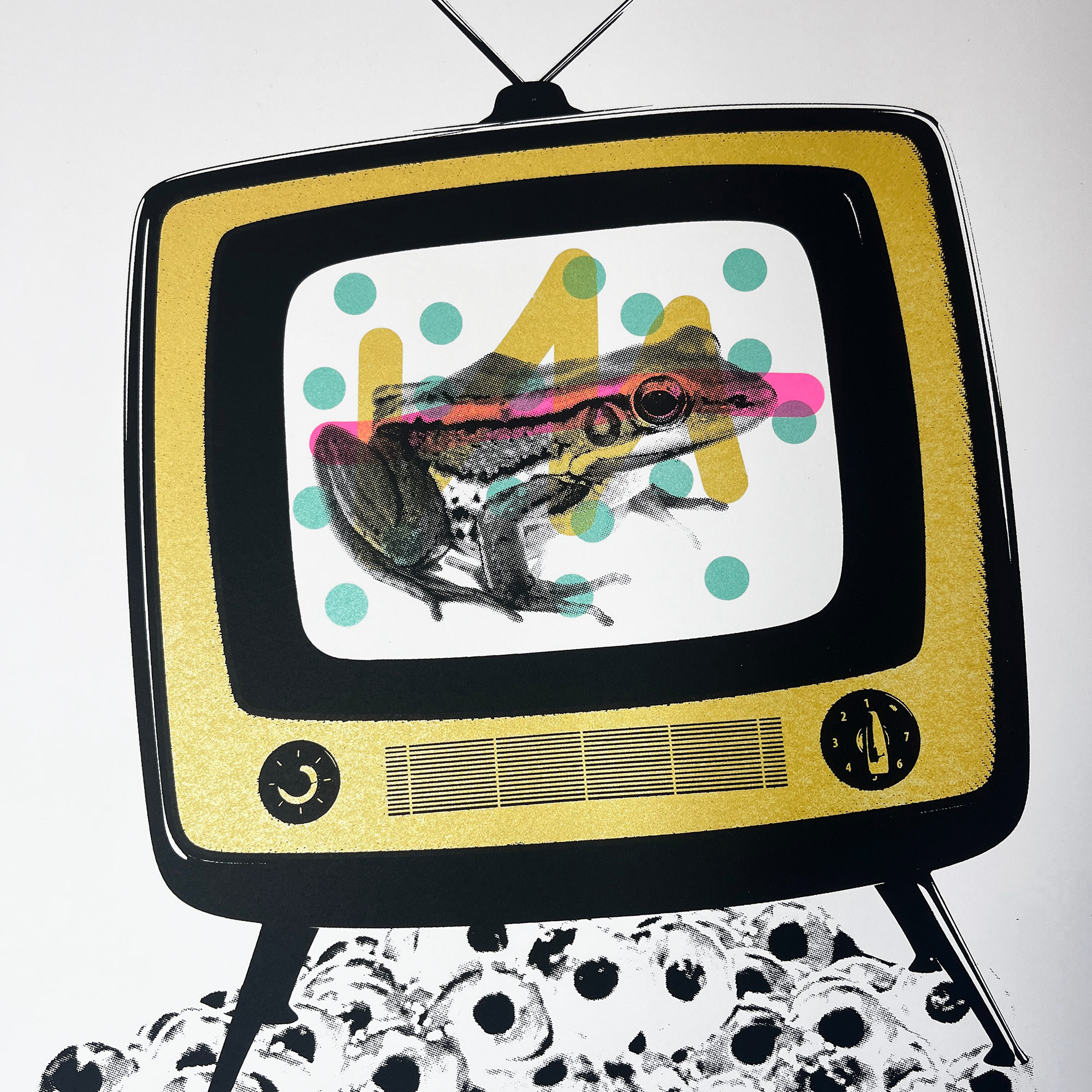 Froggy Vision - Screen Printed Poster - close up detail shot
