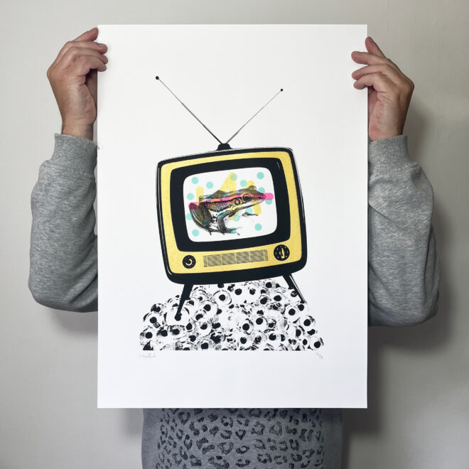 Froggy Vision - Screen Printed Poster - scale shot