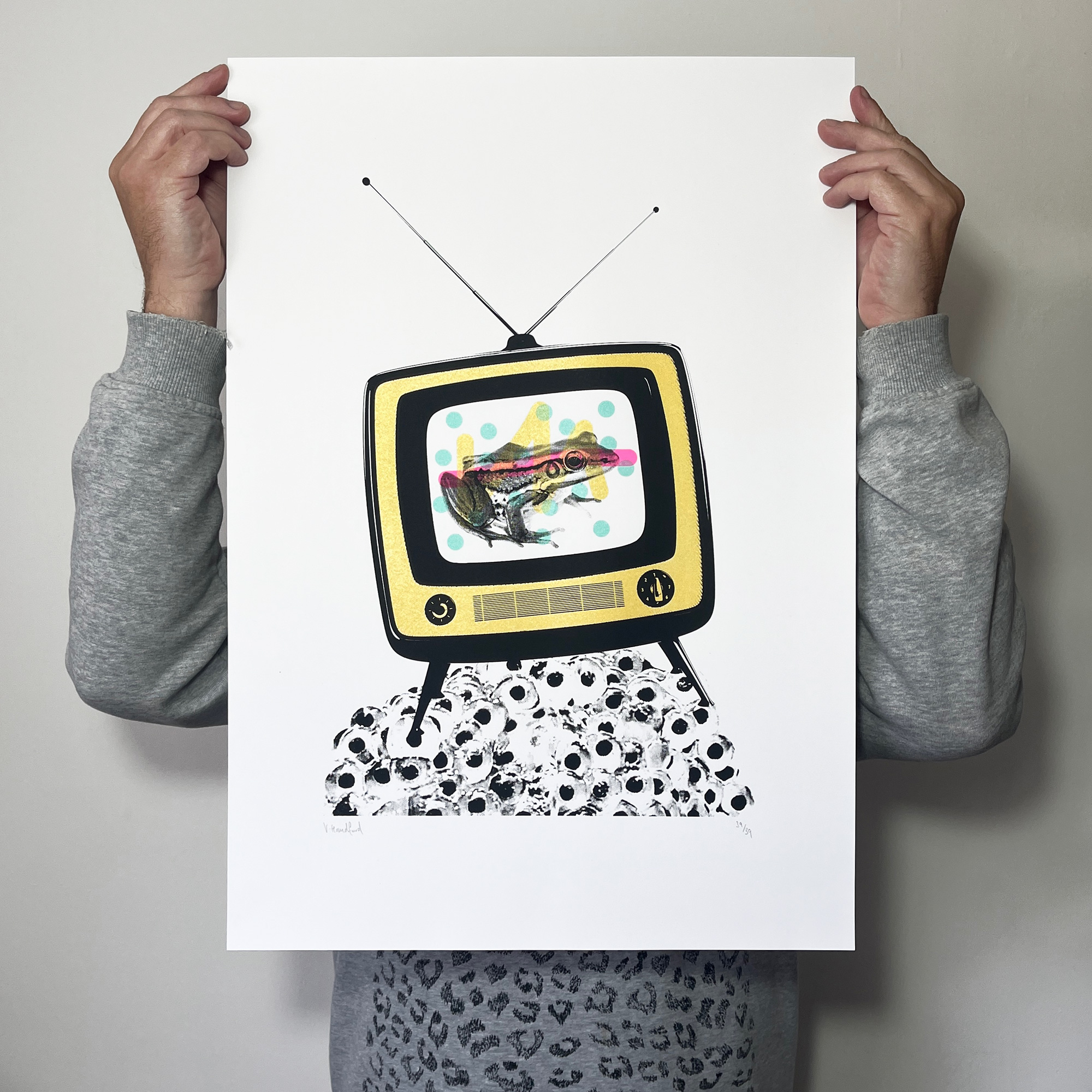 Froggy Vision - Screen Printed Poster - scale shot
