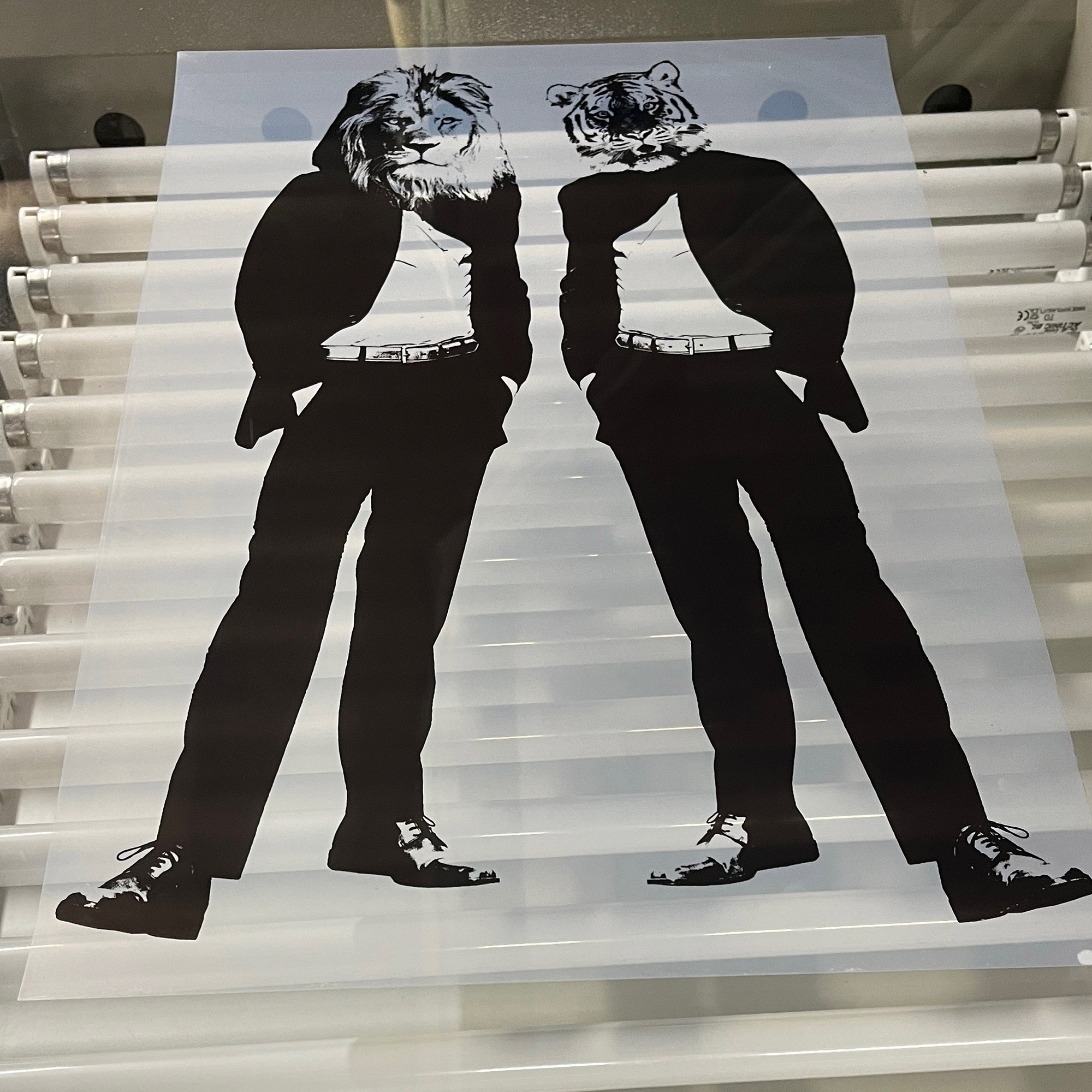 Disco Cats_Large Screen Printed Poster - process shot 1