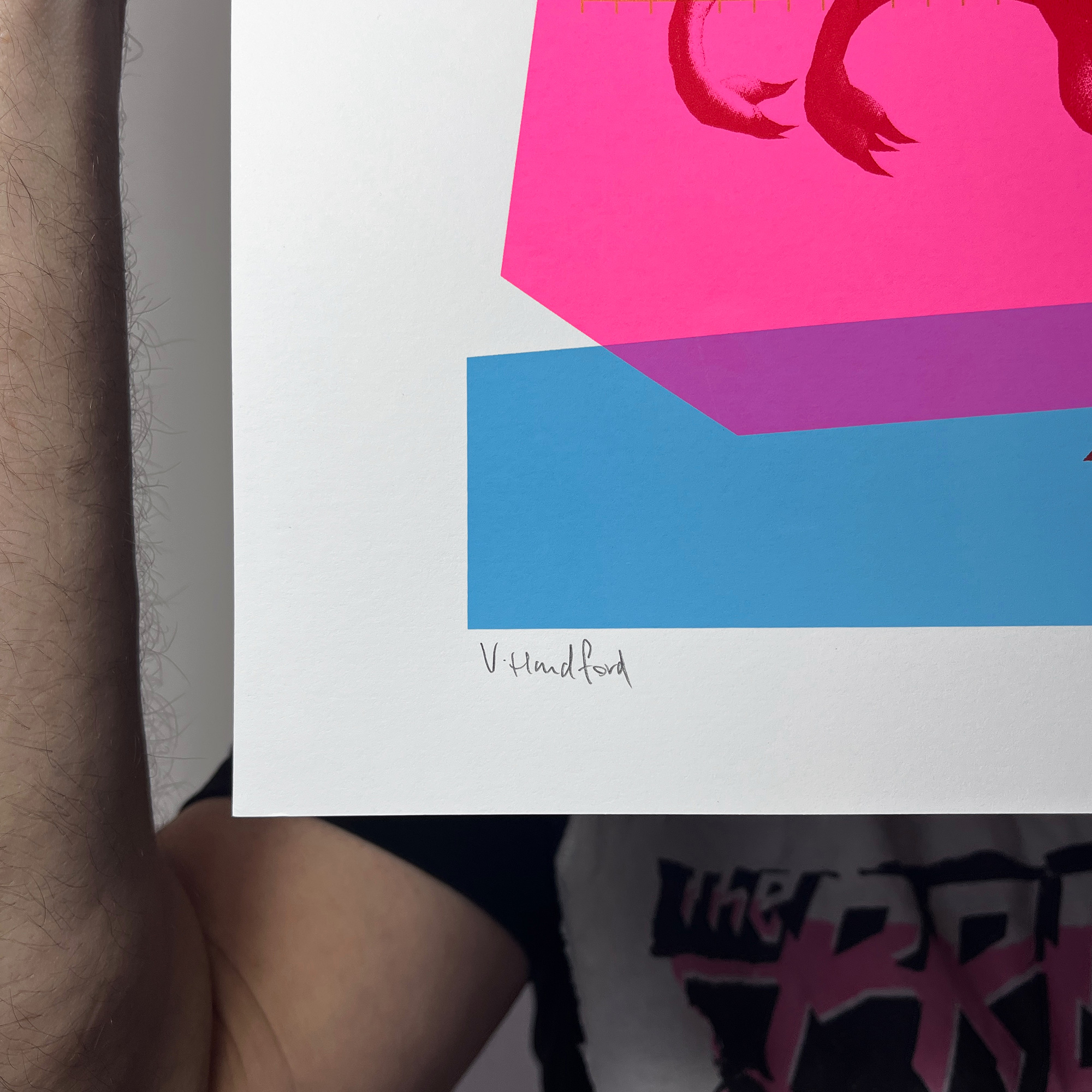 Screen Printed Dinosaur Poster - Raptor Rave - hand signed limited edition