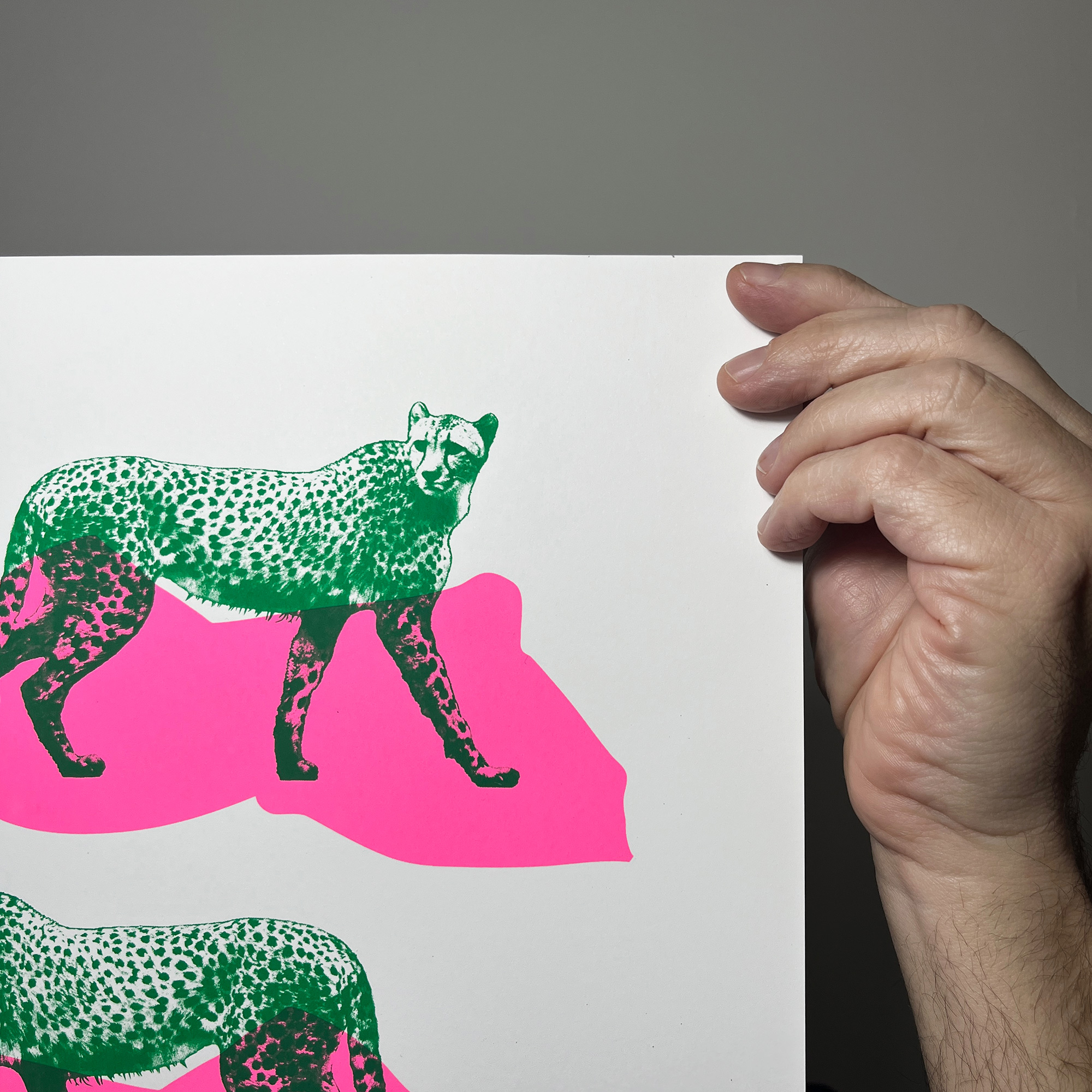 Triple Cheetahs - Screen Printed Cheetah Poster - A3 Size - detail shot top right