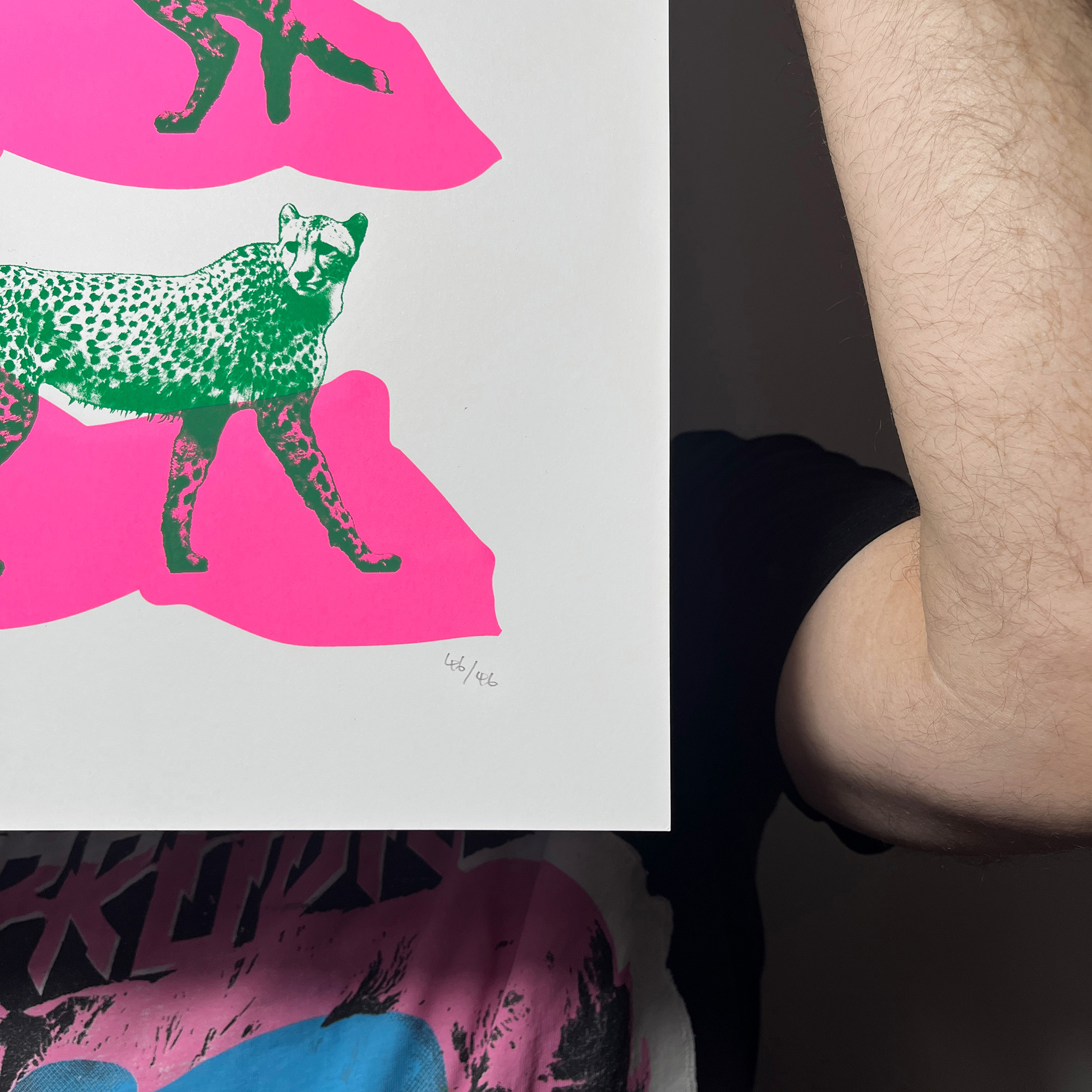 Triple Cheetahs - Screen Printed Cheetah Poster - A3 Size - hand numbered limited edition