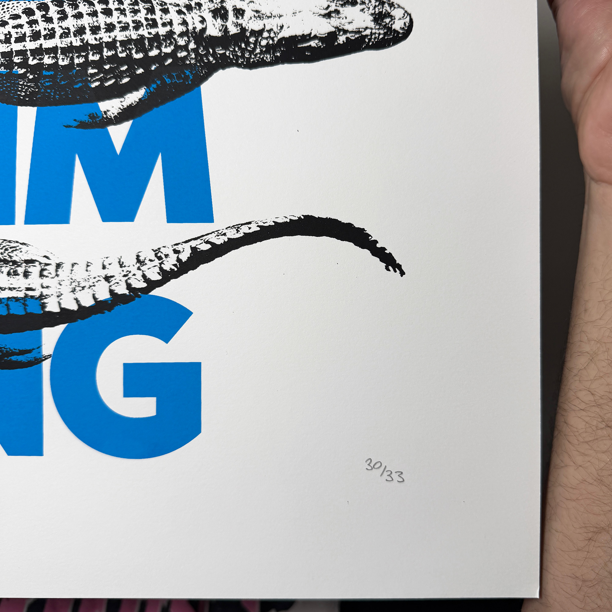 Screen Printed Poster - Wild Swimming_Medium A3 Size - hand numbered limited edition