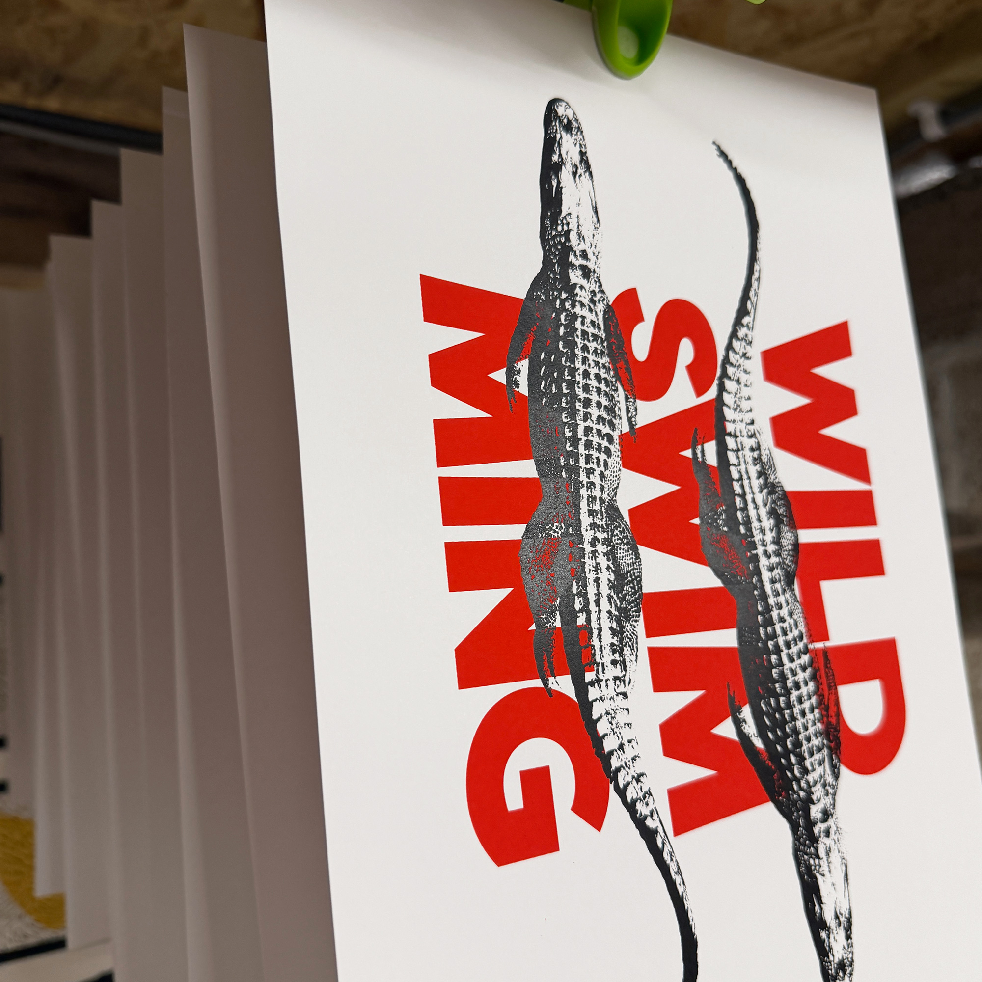 Screen Printed Poster - Wild Swimming_Small A4 Size - process shot showing second black layer of alligators drying.