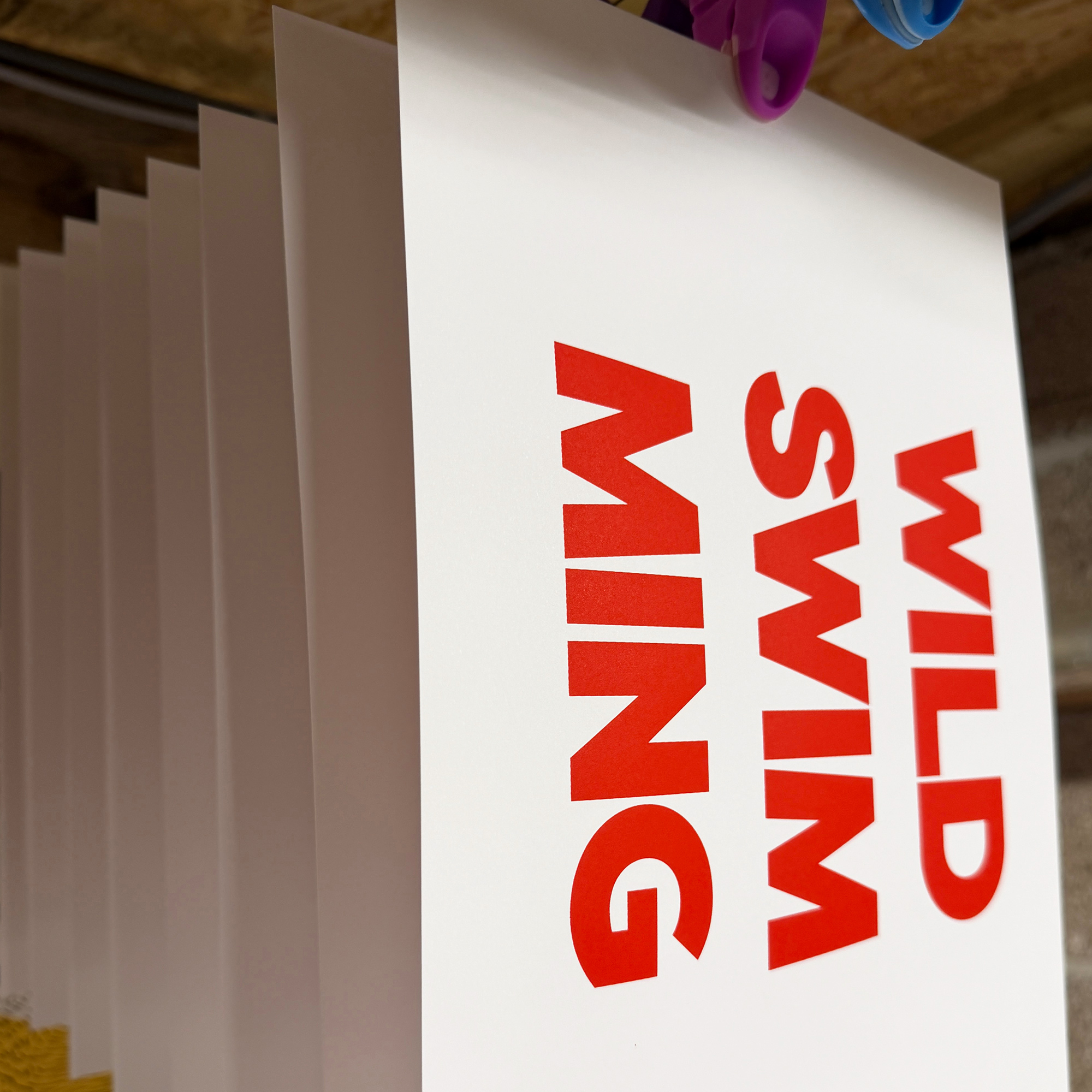 Screen Printed Poster - Wild Swimming_Small A4 Size - process shot showing red typography drying.