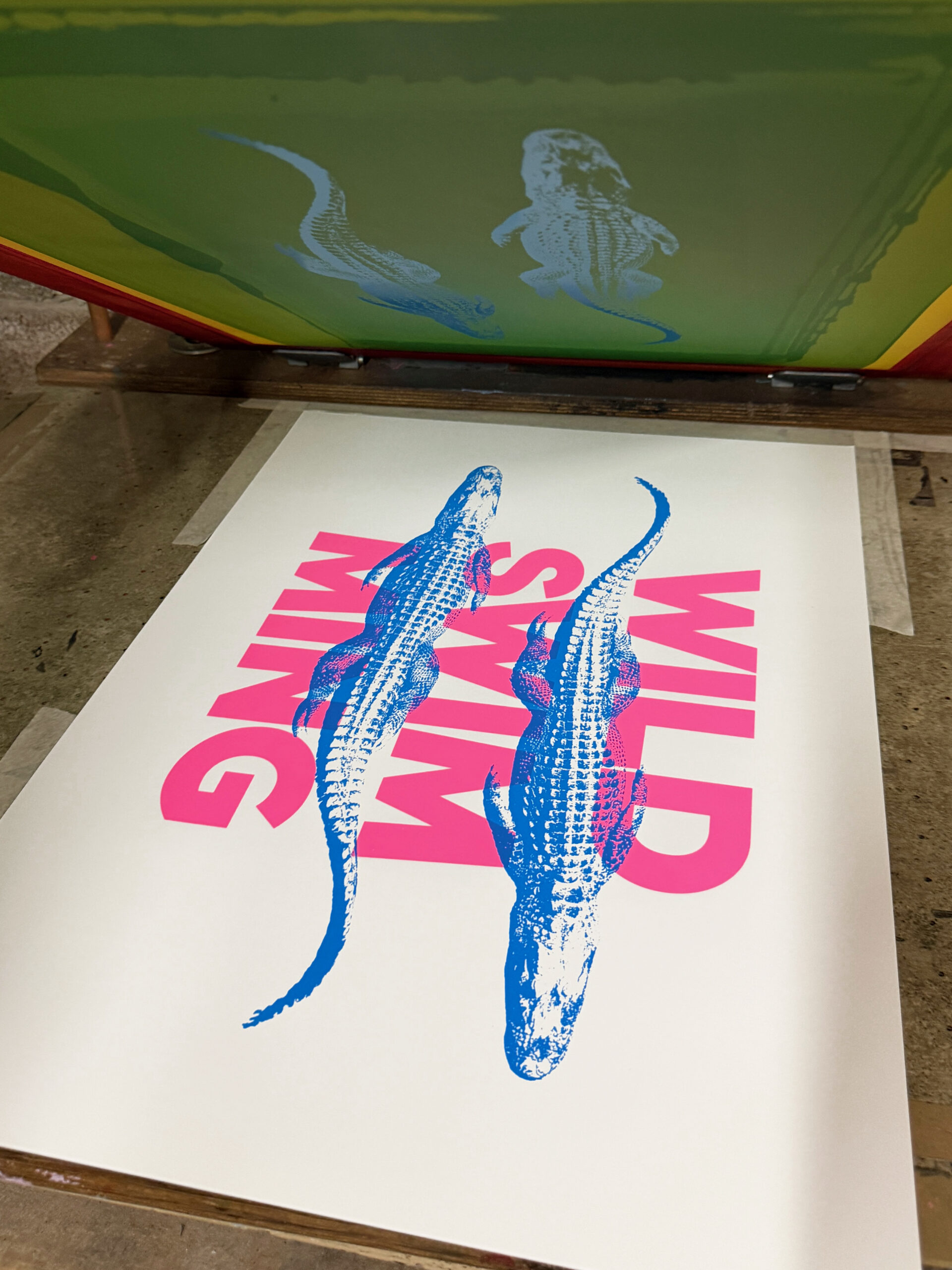 Screen Printed Poster - Wild Swimming_Large A2 Size - process shot - blue ink layer on print bed