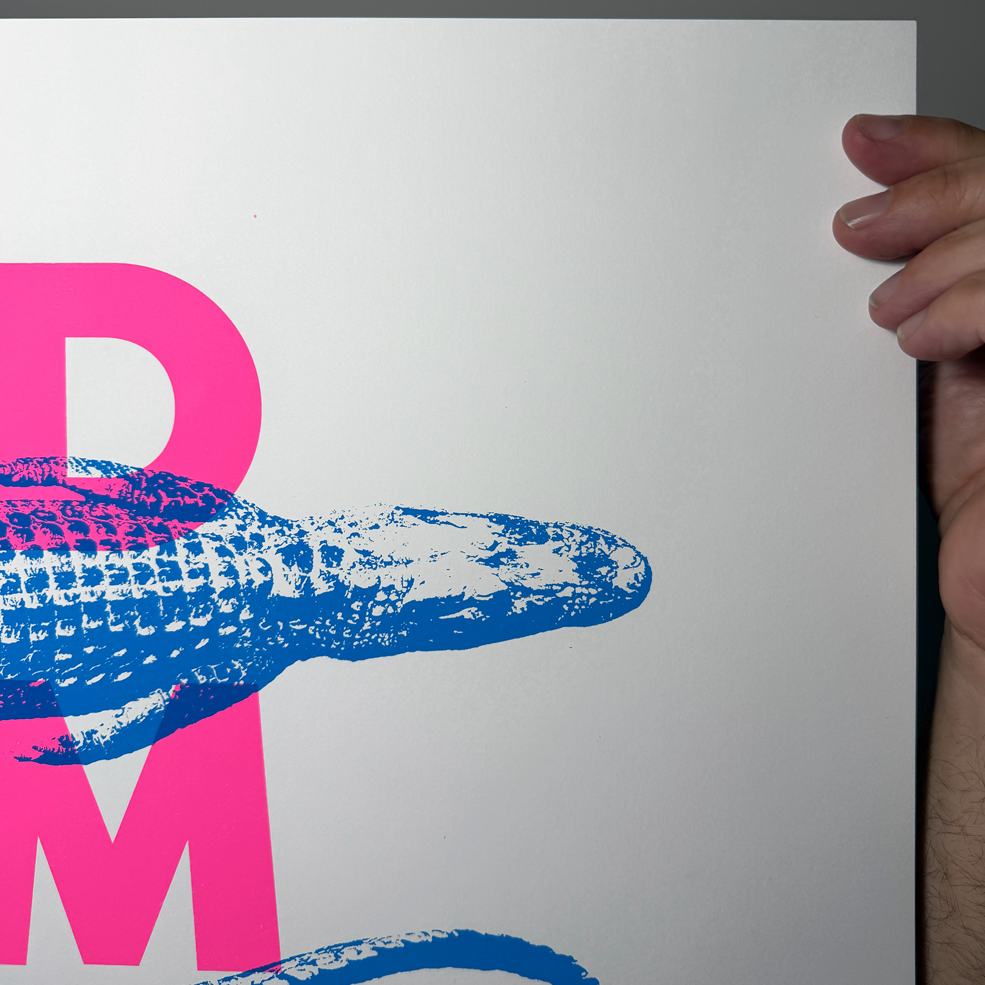 Screen Printed Poster - Wild Swimming_Large A2 Size - close up detail shot top right