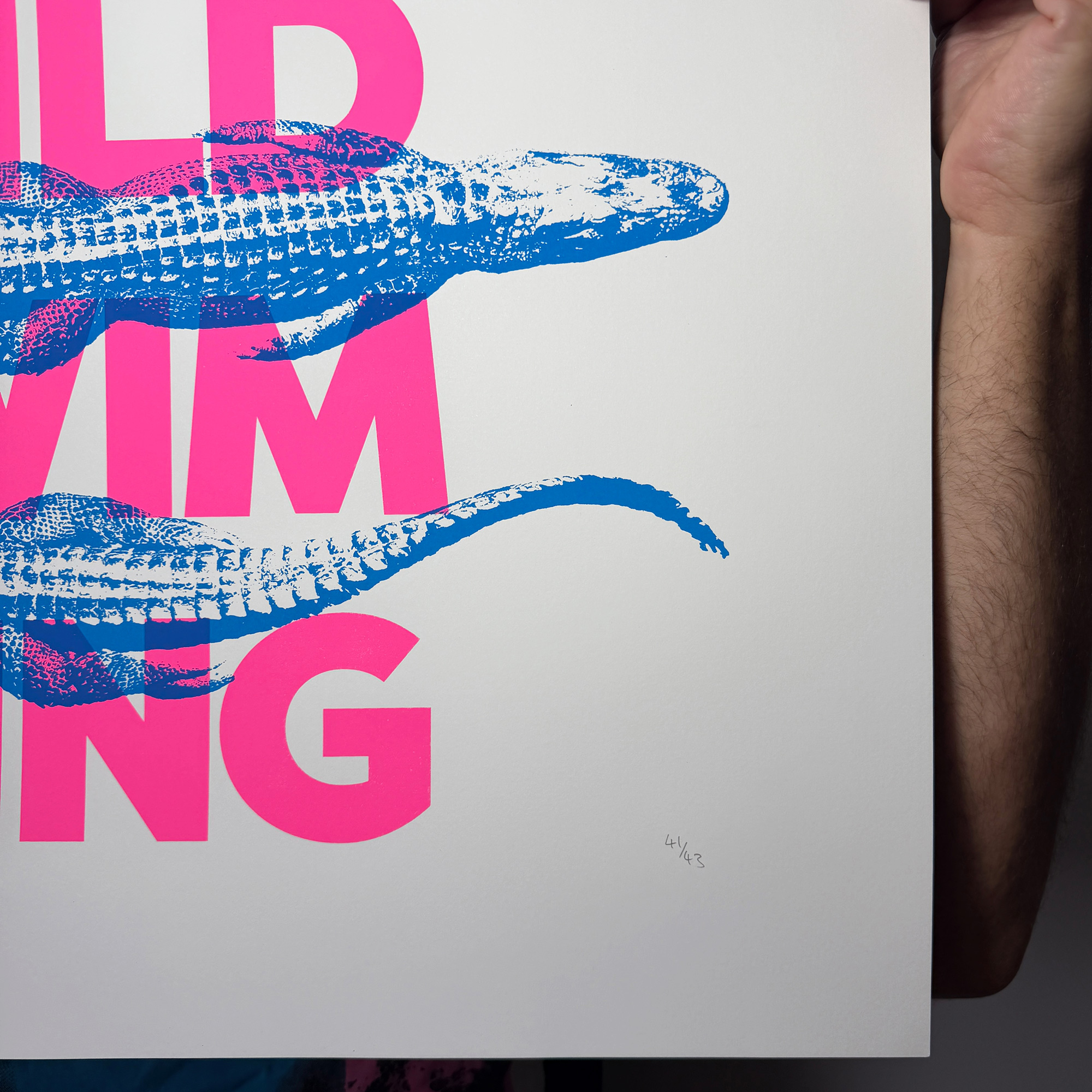 Screen Printed Poster - Wild Swimming_Large A2 Size - hand numbered limited edition